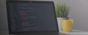 Hire Web Developers